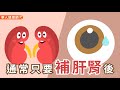 年老視茫茫～護眼妙方：枸杞四君子、按摩眼周4穴位