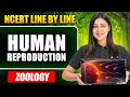 Human Reproduction FULL CHAPTER NCERT Line By Line Tulika Mam