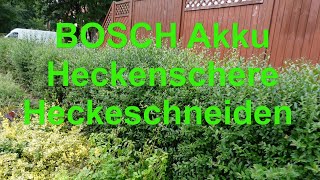 Bosch Akku Heckenschere AHS 55-20 LI | Heckeschneiden | wie schneidet die BOSCH ab | BOSCH AHS 55