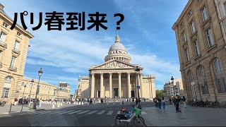 パリ春到来? / Paris déjà Printemps?