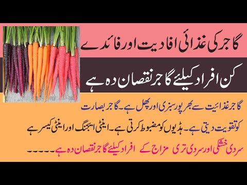 , title : 'Health benefits and harms of carrot(گاجر)  || Nutritional value of carrot. || Health and Herbal'