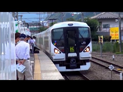 E257系かいじ118号新宿行き　3018M　大月駅発車