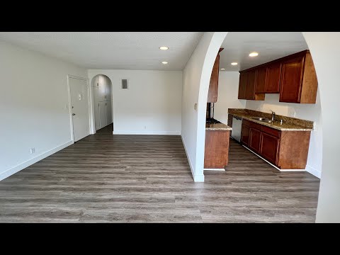 pac37 - Video 2 of 2