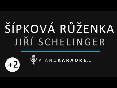Jiří Schelinger - Šípková Růženka (Vyšší tónina) | Piano Karaoke Instrumental