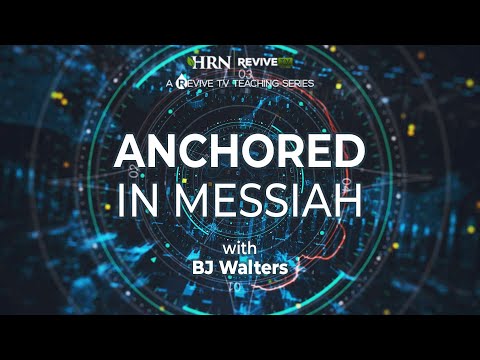 AIM Ep 19 | Don't Get Accustomed To The Noise Pt 2