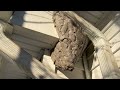 Found a Gigantic Bald-Faced Hornets Nest on the Downspout in Bernardsville, NJ