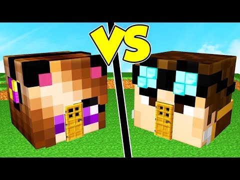 CASA LYON contro CASA ANNA su MINECRAFT!