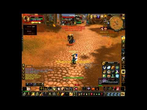 The Tale of the Paladin with two pets