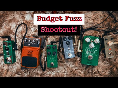 Budget Fuzz Shootout | all under $40!