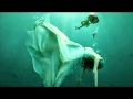 Adult Swim Bump Cant Go Wrong