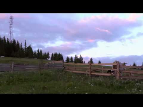 Cazare Sebes - Cazat.ro