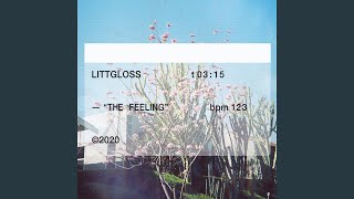Littgloss - The Feeling video