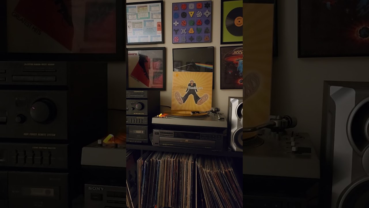 New Radicals - You Get What You Give  (vinyl)