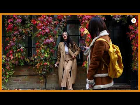 Slideshow: Autumn around the world