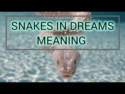 " Snakes In Dreams, Meaning" 