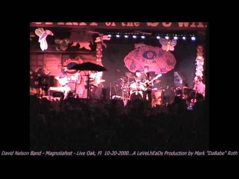 David Nelson Band - Magnoliafest -  Live Oak, Fl  10- 20- 2000