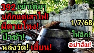 392 เข้าเต็มๆ บ่ถืกแต่เสาไฟ! ผีตายโหง! ป่าช้าหลังวัด! เฮี้ยนสุดๆ 1/7/68ไห้อีกแล้ว! #ห้ามพลาด