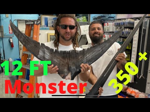 HUGE Swordfish! 12 FT 350 + Pounds! Surfaces With A Follower.
