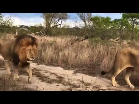 King Nhenha Joins Nkuhuma Male The Start Of Something Great