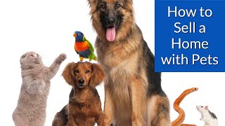 How To Sell A Home With Pets