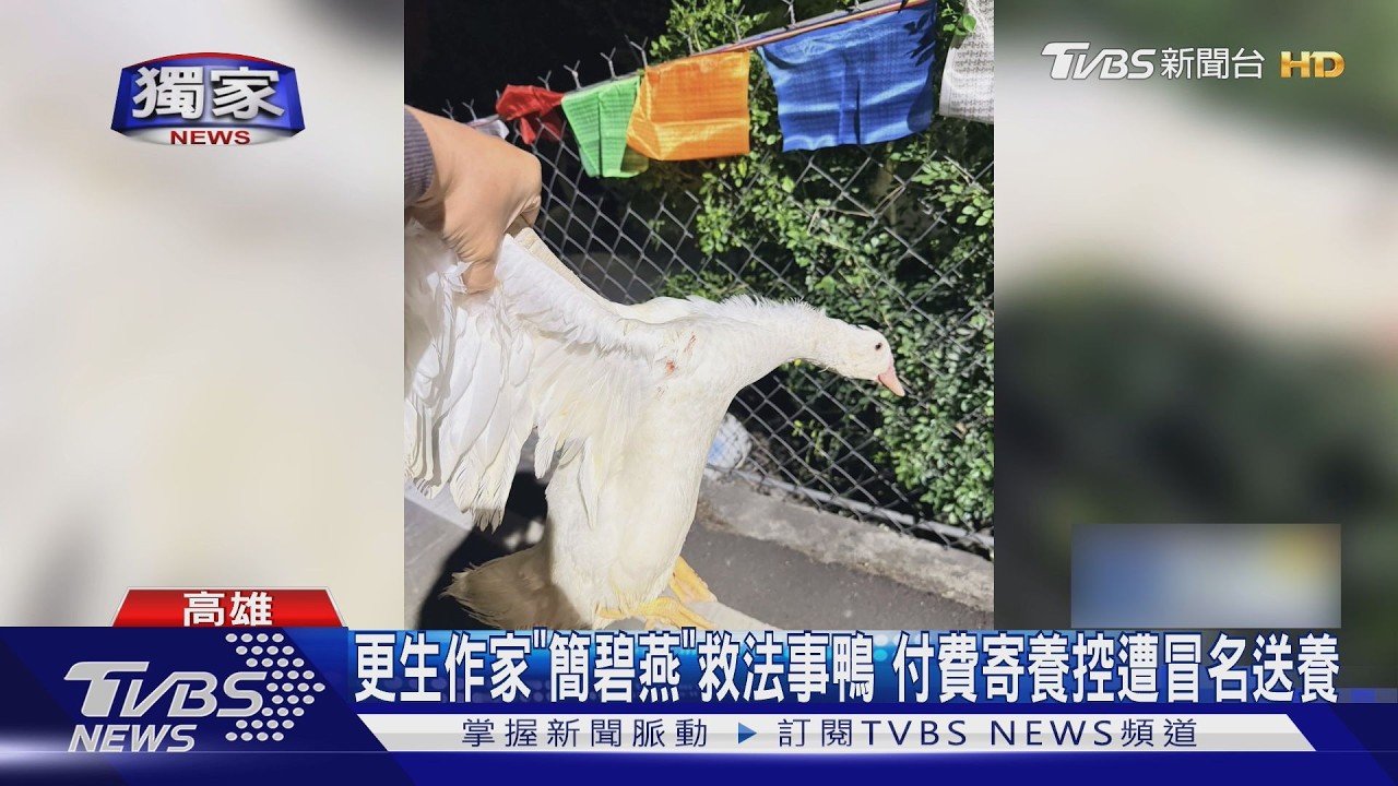 美女更生作家簡碧燕救16隻法事鴨控遭冒名送養 下落不明怒提告詐欺