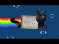 Real life Pop tart cat (Nyan cat) 