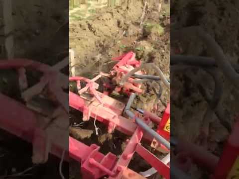 Plug s ticalom voćarski