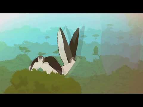 Crumbling Land - Pink Floyd