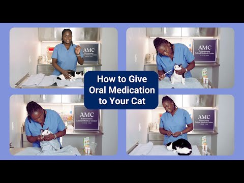 How to Give Medication to Your Cat