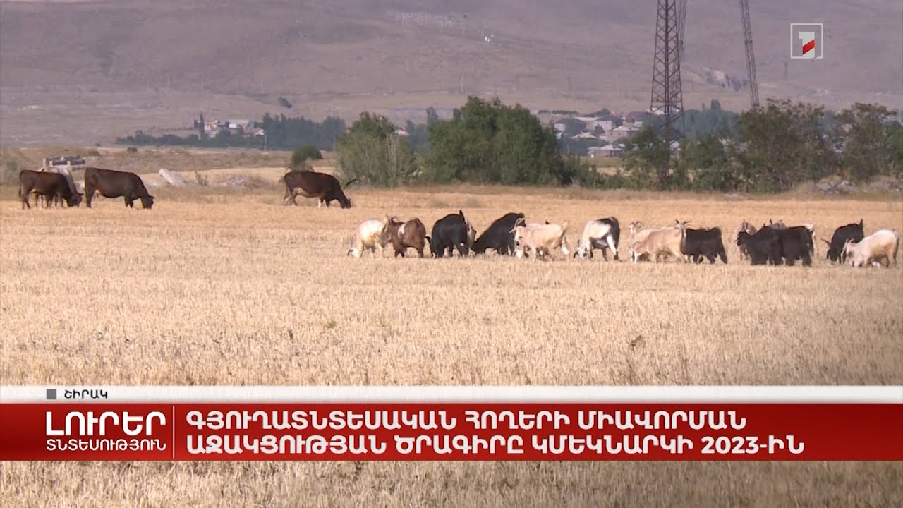 Գյուղատնտեսական հողերի միավորման աջակցության ծրագիրը կմեկնարկի 2023-ին