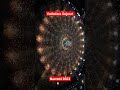 Garba Vadodara Gujarat Navratri 2023 Trending Garba Viral Navratri 2023 Reels