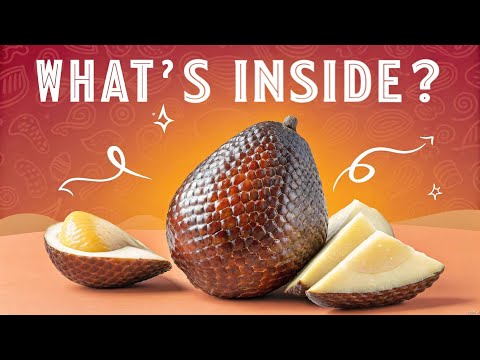 Trying the Fruit That Looks Like a Snake Skin! Salak Fruit Review