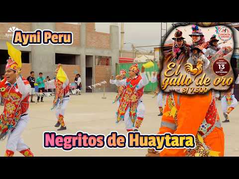 Negritos de Huaytara - Huancavelica - Ayni Peru / El Gallo de Oro 2026 Escencia Andina