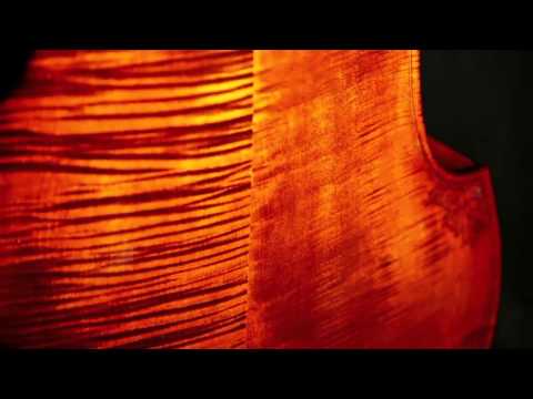 Emanuel Wilfer - Double Bass, Modell Lion head