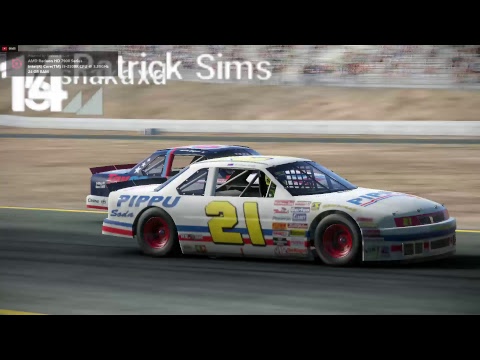 [pCARS] Skin Testing