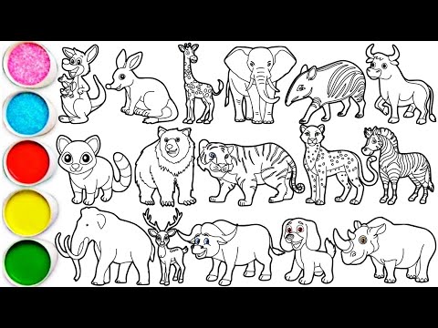 Draw 16 Amazing Animals in Minutes - Bear, Bilby, Bull, Cheetah, Elephant, Giraffe, Kangaro & others
