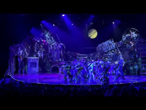 “CATS” the full show Oasis of the Seas#production#show#performance#cats#broadway#acting#musical#song