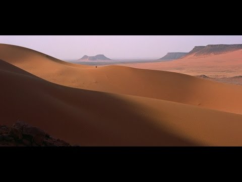 Massive Attack vs Burial Walls / Paradise Circus (Remix) Video