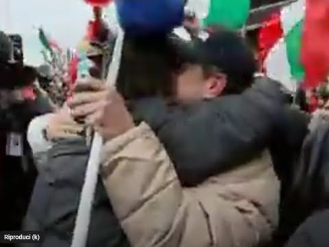 Varenne - the best trotter ever