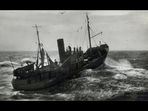 1955 Heringsfischerei in Deutschland