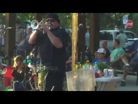 " No Trouble "  The Pulsators