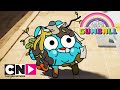 Gumball | Darwin krijgt benen en komt weer thuis! | Cartoon Network