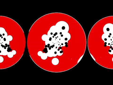 Vortex Mechanic - Dynamic Mechanic