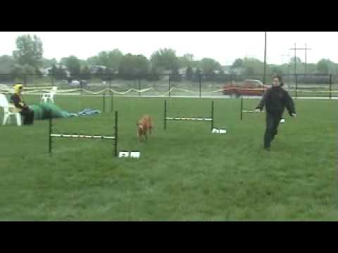 2011-05-21-Nala-Jumpers.mp4