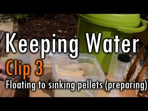 Clip 3: Floating to sinking pellets (preparing)