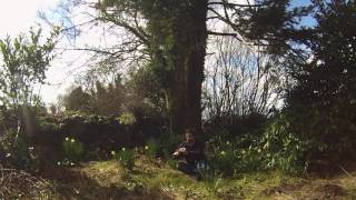 The Parting Glass - Low D Whistle