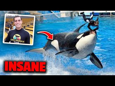 The Terrifying Last Minutes Of Orca Trainer Alexis Martinez