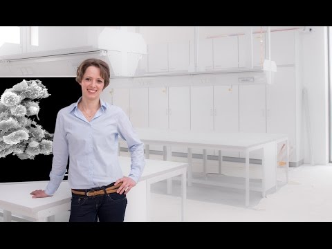 Die Schuppenflechte der Kopfhaut des Grundes die Behandlung Die Schuppenflechte die Lebensweise die Diät