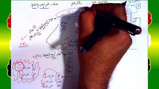 صورة 28 √ ضمير النصب المنفصل