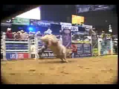 Sinovaldo Correia vs Mr. Zantrex